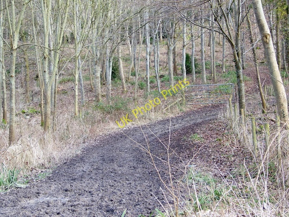 Photo 6"x4" Bridleway, Handford Hanford\/ST8411 c2010
