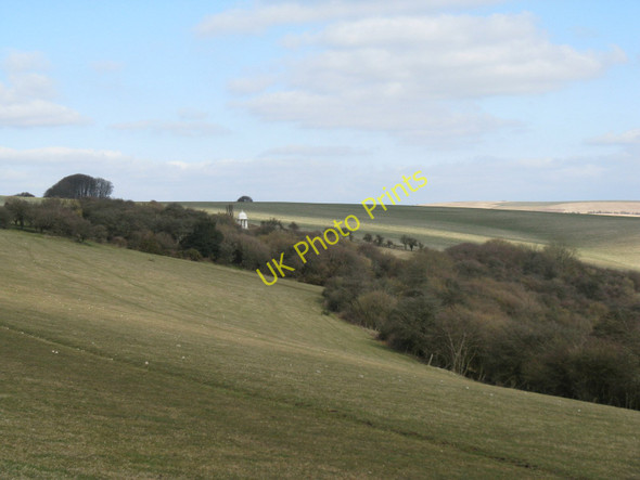 Photo 6"x4" Access land woods near the Chattri Memorial Patcham c2010