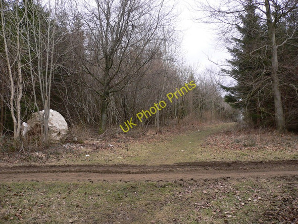 Photo 6"x4" Chalk ball in Newfarm Plantation Bepton c2010