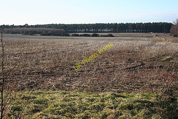 Photo 6"x4" Near Rosenewton Newton\/NJ1663 c2010