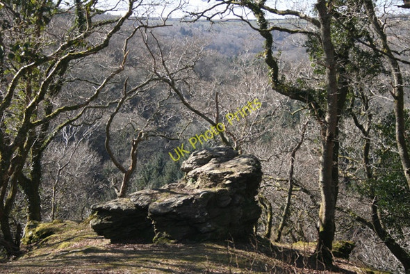 Photo 6"x4" Whitchurch: rock above the Tavy Brook\/SX4772 c2010