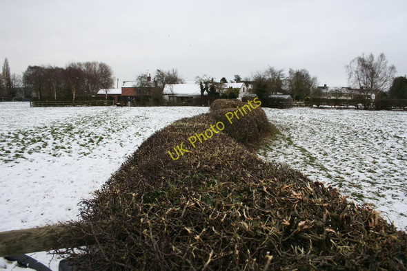 Photo 6"x4" Hedge near Oscroft Oscroft c2010
