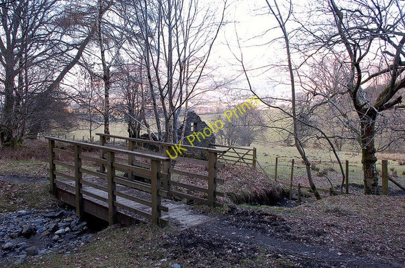 Photo 6"x4" Footbridge on a woodland path Spring Bank\/NY2224 c2010