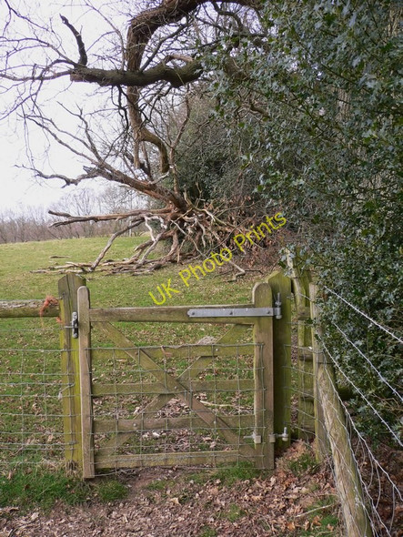 Photo 6"x4" Gate on the Sussex Border Path Fisherstreet c2010