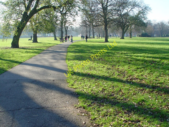 Photo 6"x4" The Path through Pearson Park Kingston upon Hull c2008