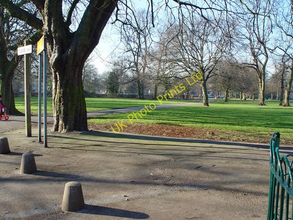 Photo 6"x4" Path through Pearson Park, Hull Kingston upon Hull c2008