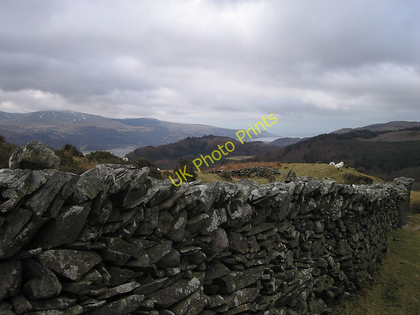 Photo 6"x4" At the foot of y Braich Llechfraith c2010