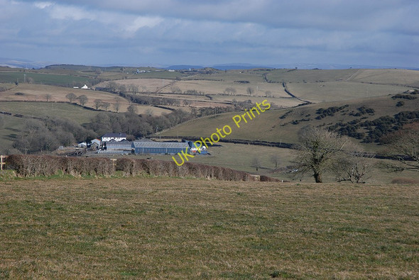 Photo 6"x4" Fields above Rhodmad farm Blaenplwyf\/SN5775 c2010