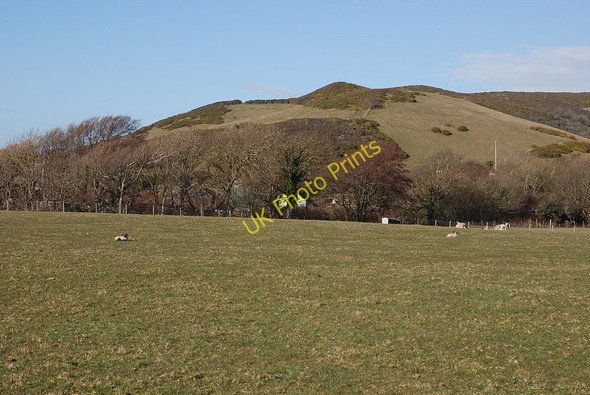 Photo 6"x4" Grazing land west of Llanrhystud Llanrhystud c2010