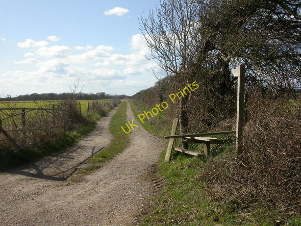 Photo 6"x4" Downton, footpath Downton\/SZ2693 c2010