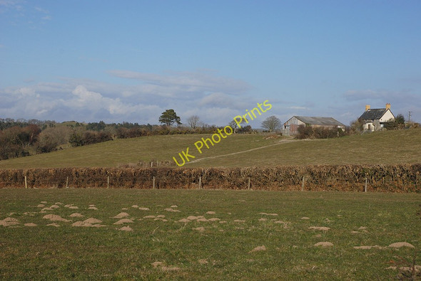 Photo 6"x4" Fields by Bryngwyn farm Rhyd-Rosser c2010