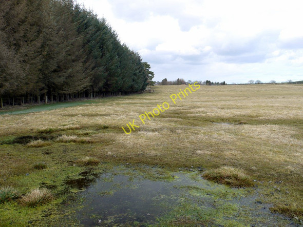 Photo 6"x4" Bridleway alongside West Moor Wood Hartburn\/NZ0886 c2010