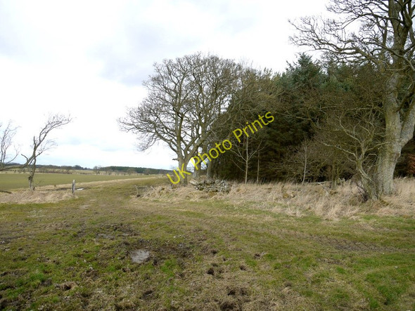 Photo 6"x4" Bridleway on line of Devil's Causeway near Jocks Flat Wood Hartburn\/NZ0886 c2010