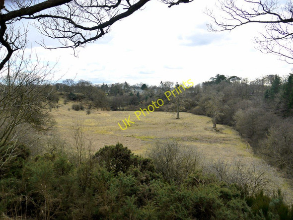 Photo 6"x4" Valley of the Hart Burn Hartburn\/NZ0886 c2010