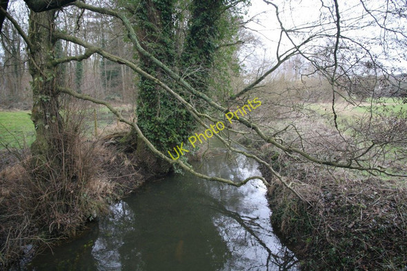 Photo 6"x4" Brook towards Sulham Little Heath\/SU6573 c2010