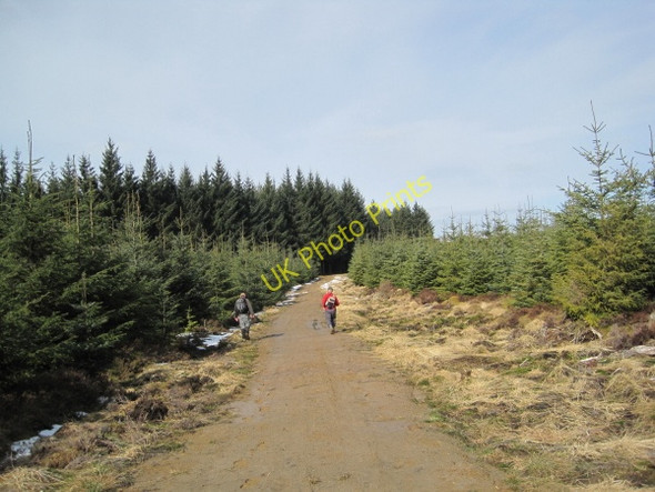 Photo 6"x4" Bridleway leading to Bellingburn Head Hawkhope\/NY7188 c2010