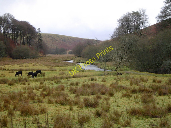 Photo 6"x4" The River Barle at Simonsbath, Exmoor Simonsbath c2003