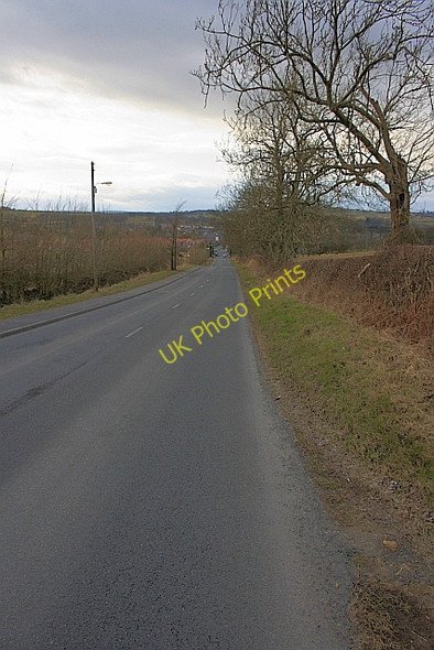 Photo 6"x4" North Bitchburn Bank North Bitchburn c2010