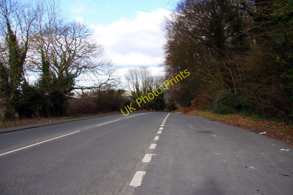 Photo 6"x4" The road to Leckhampton Leckhampton c2010