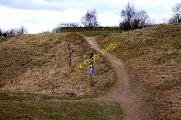 Photo 6"x4" The Cotswold Way at Barrow Wake Shab Hill c2010