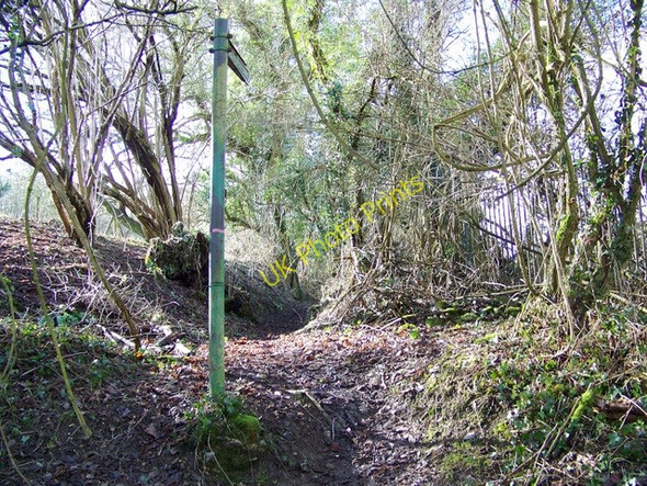 Photo 6"x4" Footpath near Monkswood Reservoir Nimlet c2010