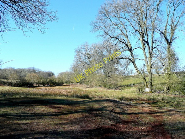 Photo 6"x4" Rough pasture land Bream c2010