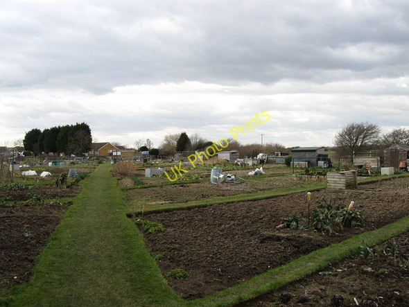 Photo 6"x4" Footpath Through the Allotments Beachlands c2010