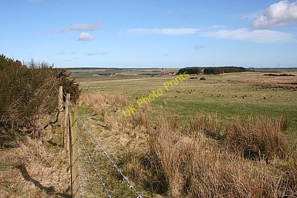Photo 6"x4" Moss of Auchleuchries Muirtack c2010