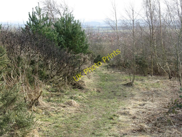 Photo 6"x4" Broxburn Community Woodland Kirkhill\/NT0772 c2010
