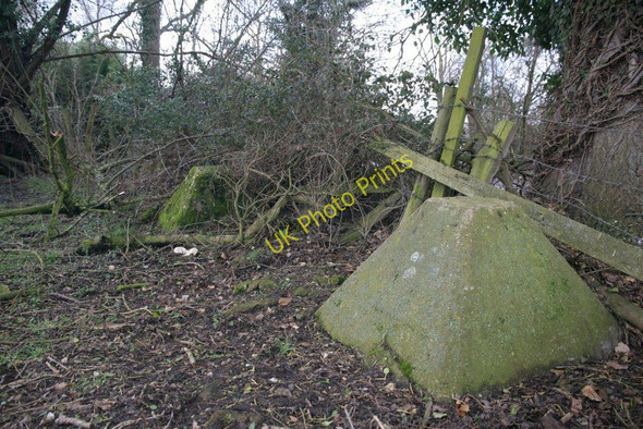 Photo 6"x4" Four this way Sulham c2010