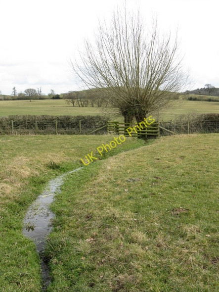 Photo 6"x4" Small Stream Across The Footpath Lucton c2010