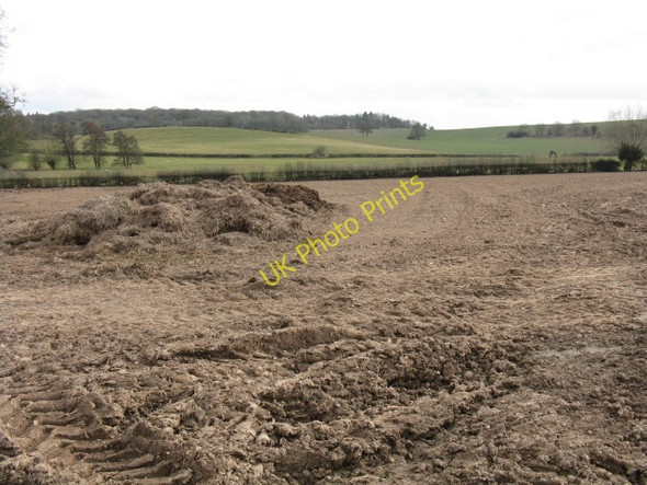 Photo 6"x4" Towards Tars Wood Lucton c2010