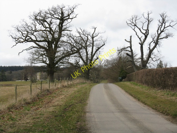 Photo 6"x4" Croft Castle's Exit Road Croft\/SO4565 c2010