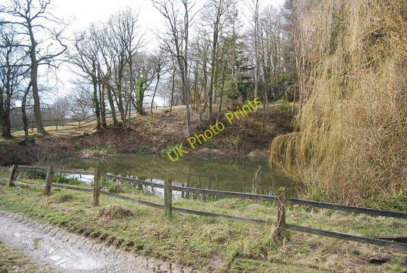 Photo 6"x4" Pond opposite Clayhill Cottages Lamberhurst Quarter c2010