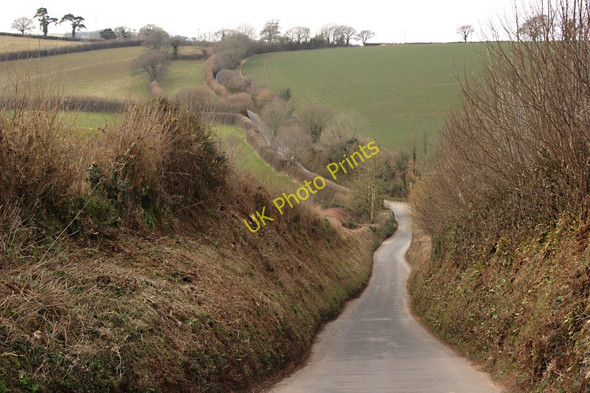 Photo 6"x4" The Sheepham Brook Valley Modbury c2010