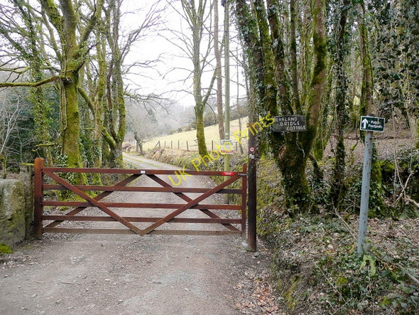 Photo 6"x4" Footpath and track Haye Fm\/SX3469 c2010