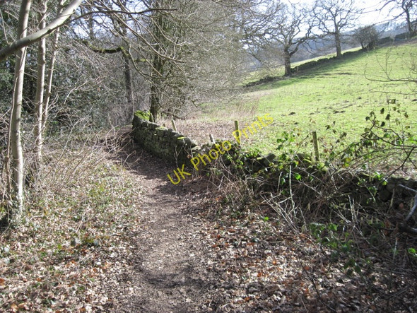 Photo 6"x4" Footpath in Rivelin Valley Nature Reserve Rails c2010