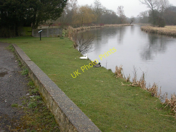 Photo 6"x4" Upper Woodford, ducks Upper Woodford c2010
