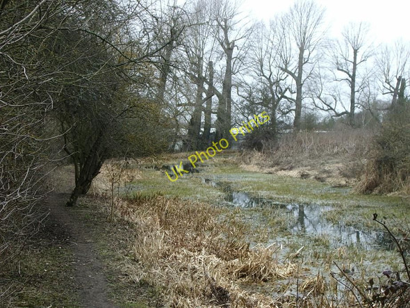 Photo 6"x4" Disused canal, Swift Valley Rugby c2010