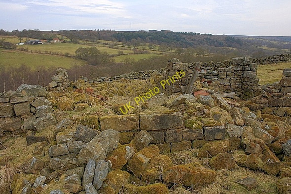 Photo 6"x4" Burnt House Far Pasture Wood c2010
