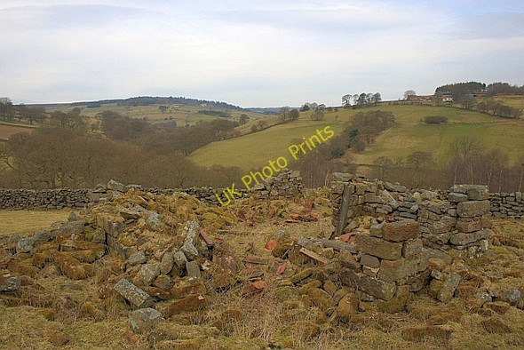 Photo 6"x4" Burnt House Far Pasture Wood c2010 P1