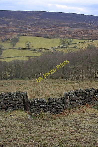 Photo 6"x4" Blocked up Old Gate in Stone Wall Far Pasture Wood c2010