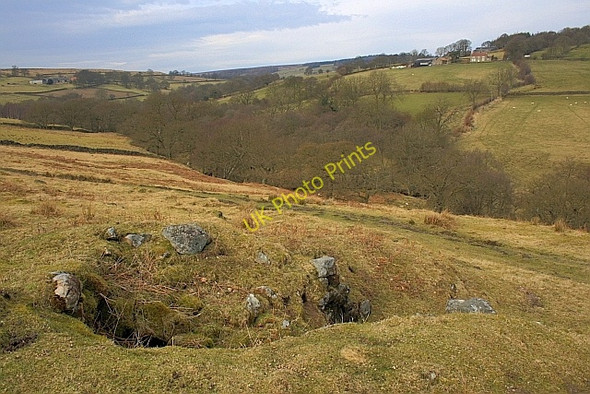 Photo 6"x4" Old Quarry, Ryedale Far Pasture Wood c2010