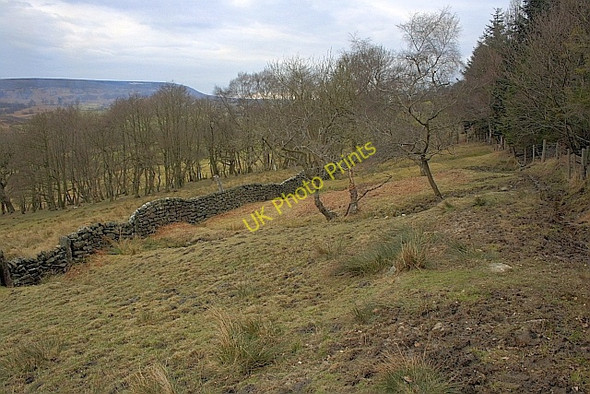 Photo 6"x4" Driftway between Birk Wood and Hagg House Farms Hagg House Fm\/SE5293 c2010