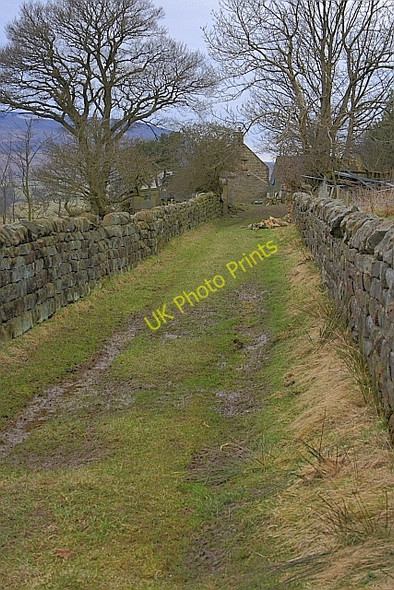 Photo 6"x4" Approaching Birk Wood Farm Far Pasture Wood c2010