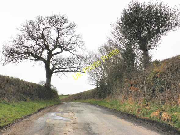 Photo 6"x4" Reedy Hill, near Dunsford Dunsford\/SX8189 c2010