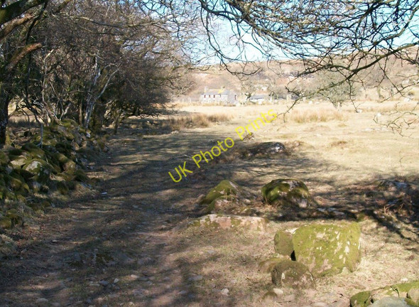 Photo 6"x4" The western approach to Ystum-cegid-ganol farmhouse Rhoslan c2010