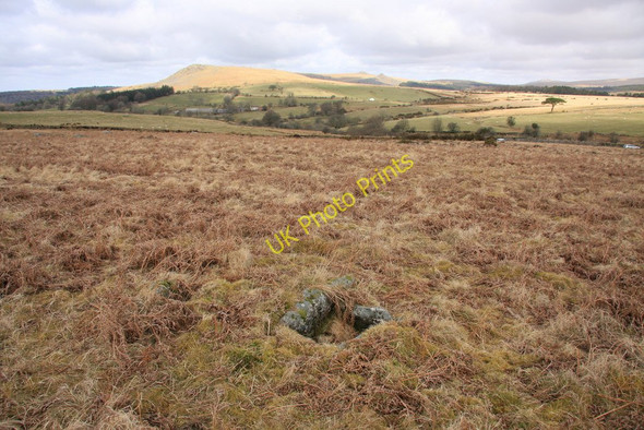 Photo 6"x4" Gutter Tor north cist Sheepstor c2010