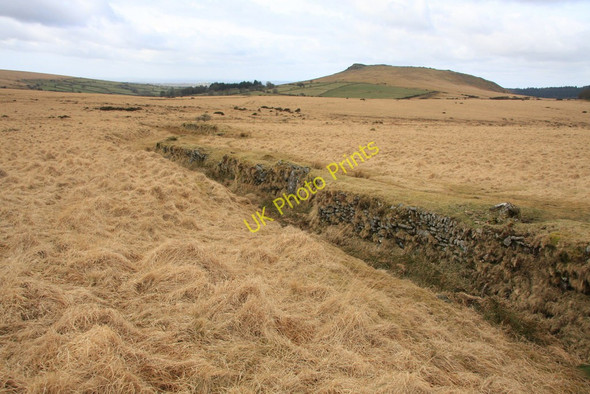 Photo 6"x4" Field boundary Sheepstor c2010