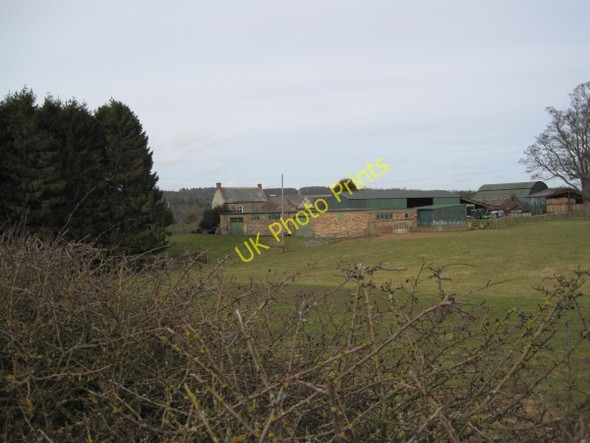 Photo 6"x4" Todburn Steel Farm near Dipton Wood Slaley\/NY9757 c2010